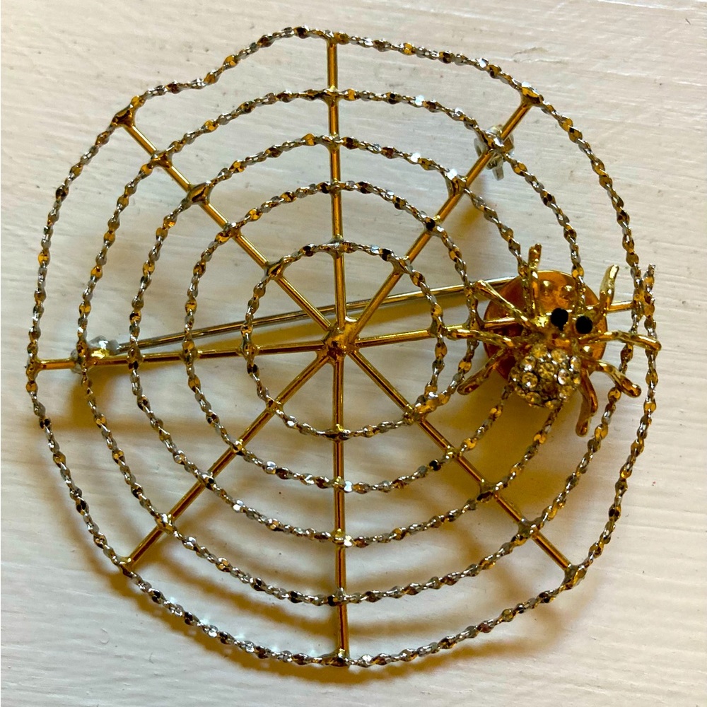 Spiderweb Brooch Pin